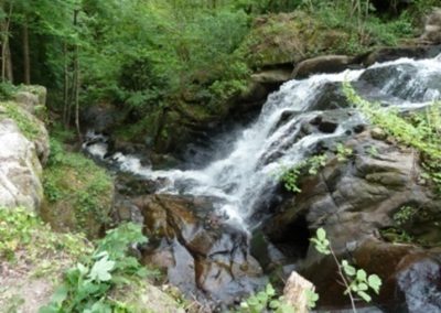 Les rivières sauvages : La Cure, le Ternin, le Chalaux (sports d'eaux vives, lieu renommé)