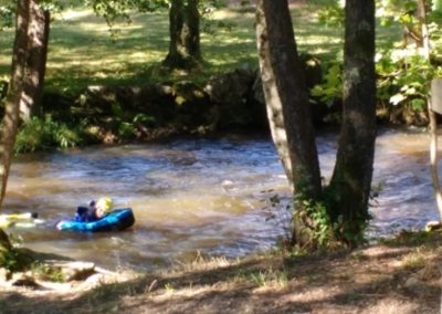 Les rivières sauvages : La Cure, le Ternin, le Chalaux (sports d'eaux vives, lieu renommé)